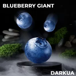 Тютюн DARKUA Blueberry Giant (Дарк ЮА Чорниця) 100 грам 99992 Фото Інтернет магазина Кальянів - Пахан
