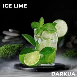 Тютюн DARKUA Ice Lime (Дарк ЮА Айс Лайм) 100 грам 99914 Фото Інтернет магазина Кальянів - Пахан